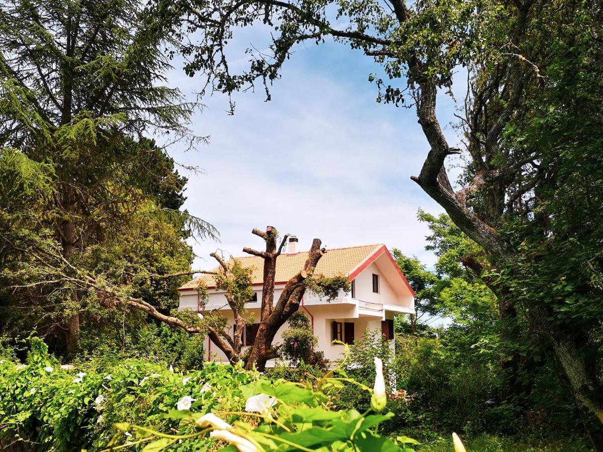Locanda Sottobosco Casa de hóspedes San Leonardo de Siete Fuentes Exterior foto
